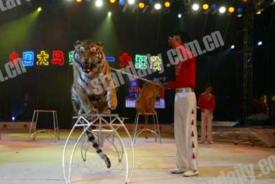 北京動物明星“五一”大演出(圖)