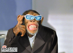 幽默神探小猩猩現(xiàn)《金剛歸來(lái)》(圖)