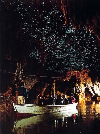 世界奇觀:新西蘭螢火蟲洞