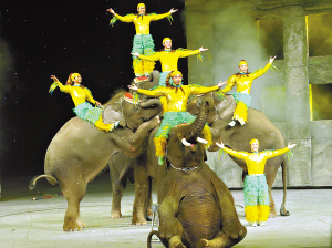 10國(guó)百余洋人打造廣州國(guó)際馬戲基地收入過億