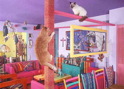 世界上最豪華的貓宅(組圖)