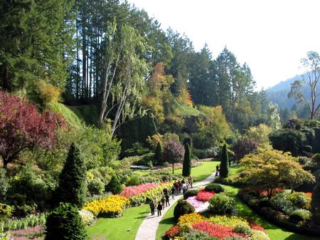 領(lǐng)略楓葉之國(guó)的精彩(圖)