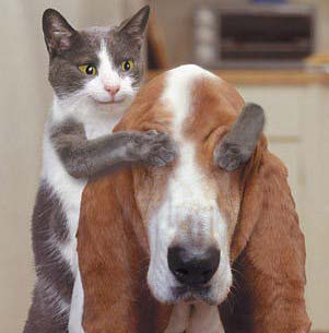 親愛的，猜猜我是誰？