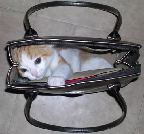 我想有個(gè)家之二