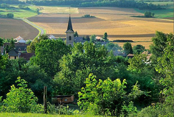 借鑒歐盟“持久戰(zhàn)”經(jīng)驗改造農(nóng)村