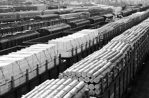 出租森林引發(fā)爭(zhēng)議 俄羅斯激辯中國話題