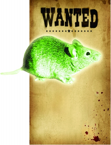 美核工廠發(fā)現(xiàn)含放射物質(zhì)老鼠 民眾擔(dān)心變異