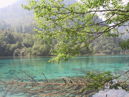 阿壩奮力建成中國(guó)西部民族地區(qū)旅游發(fā)展經(jīng)濟(jì)高地