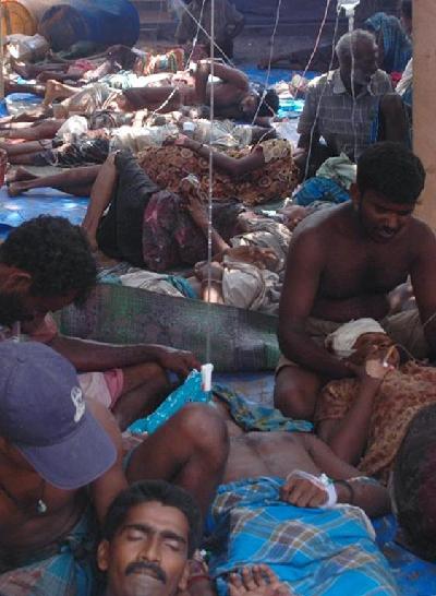 斯政府軍成功解救5萬(wàn)余平民 猛虎組織誓不投降