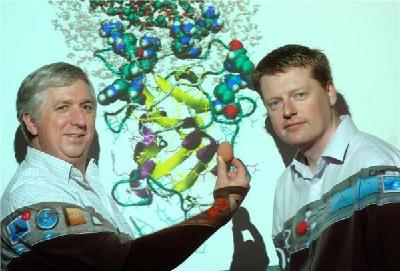 先有雞后有蛋！英科學(xué)家通過(guò)蛋白研究破解經(jīng)典謎題