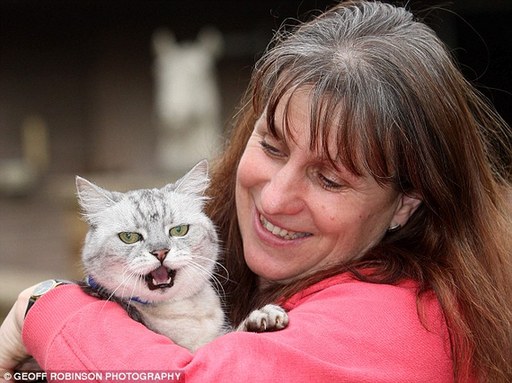 英國(guó)貓叫聲堪比波音737噪音 已申請(qǐng)吉尼斯世界紀(jì)錄