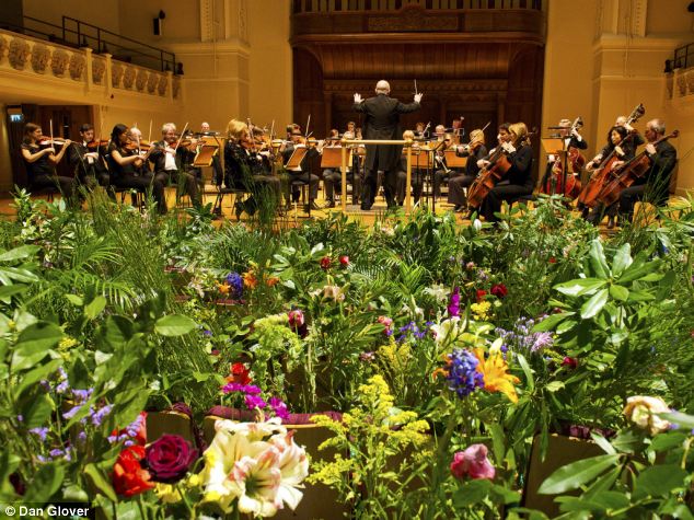 植物喜聽古典音樂？英皇家愛樂對“花”彈琴3小時