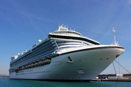 媒體稱美兩艘游輪近500人染病毒 暫無死亡報告