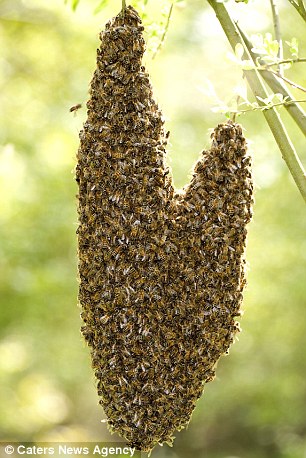 世界充滿愛！外媒展示一系列心形圖片為情人節(jié)預(yù)熱