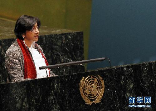 聯(lián)大就敘利亞問題舉行全會(huì)