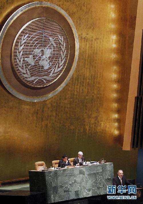 聯(lián)大就敘利亞問(wèn)題舉行全會(huì)