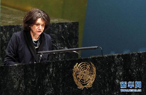 聯(lián)大就敘利亞問題舉行全會