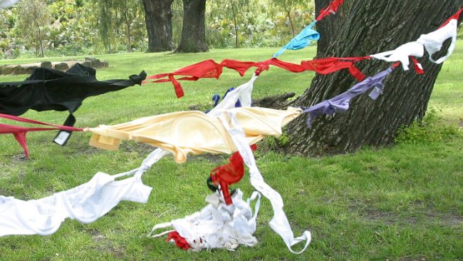 新西蘭童子軍用近17萬胸罩連成135公里長鏈 破世界紀(jì)錄