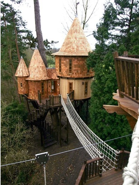 成人也愛童話世界 英高科技奢華樹屋每套售價(jià)25萬英鎊