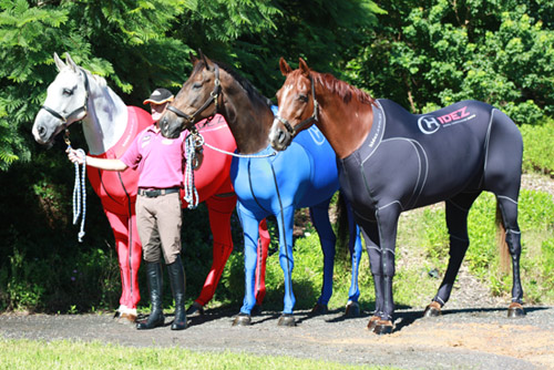 倫敦奧運(yùn)會(huì)參賽馬或穿專門服裝 可助其迅速恢復(fù)體力