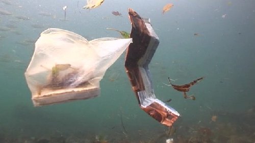 圖：悉尼港海底覆蓋“垃圾地毯” 累積200年清理難