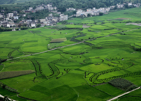 生態(tài)貴陽打造“綠色長城”