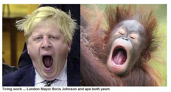 網(wǎng)上熱傳倫敦市長遭惡搞照片 上天入地無處不在