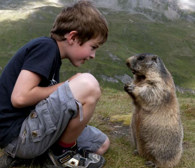 圖：奧八歲男童與土撥鼠友誼深厚 嬉戲場(chǎng)景溫馨感人