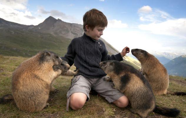 圖：奧八歲男童與土撥鼠友誼深厚 嬉戲場(chǎng)景溫馨感人