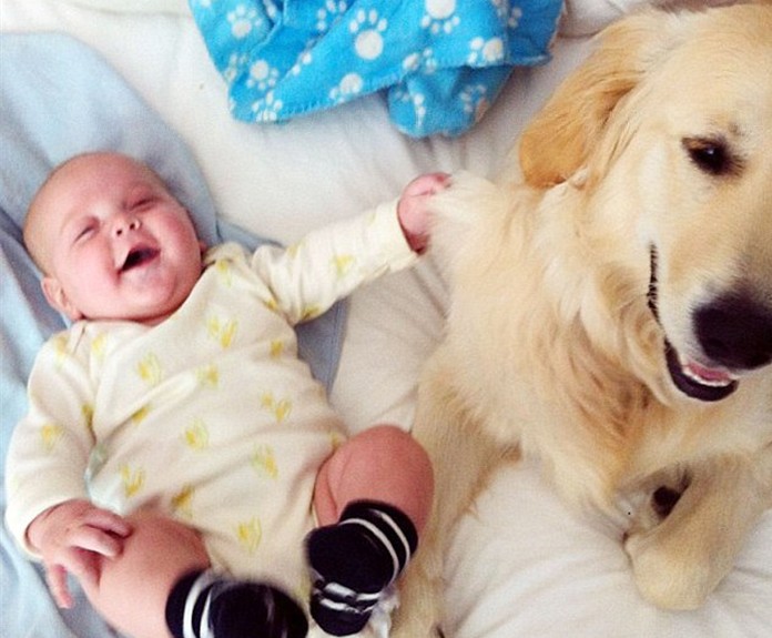 英國“推特寶貝”紅遍網絡 搖滾辣媽樂當幕后“推手”