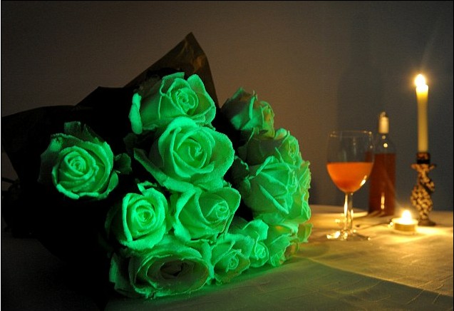 英成功培育“夜光花”發(fā)綠色熒光 搶占萬(wàn)圣節(jié)市場(chǎng)