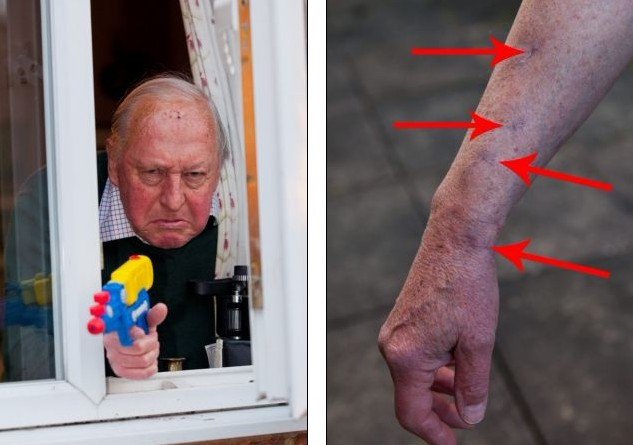 英國(guó)“最搗蛋”貓咪惹鄰居攜水槍防身 丟失后“因惡得福”重返家中