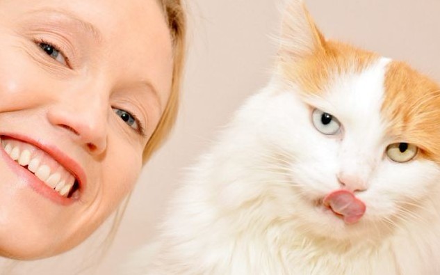 英國“最搗蛋”貓咪惹鄰居攜水槍防身 丟失后“因惡得福”重返家中