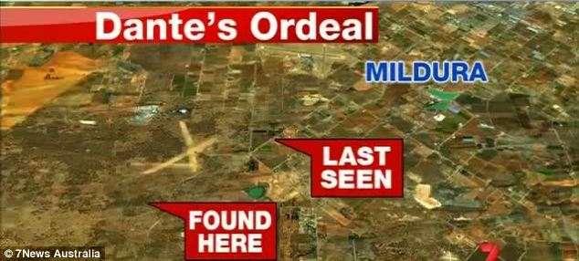 澳幼童雷雨天迷失叢林 忠犬守護(hù)14小時(shí)終得救