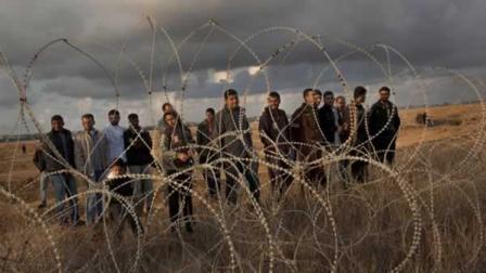 巴方譴責以軍槍殺加沙農民 阿巴斯鐵定下周申請“入聯(lián)”