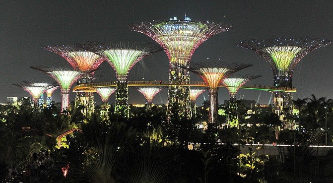 新加坡點(diǎn)亮迷人“超級(jí)樹(shù)花園” 欲打造世界植物之都