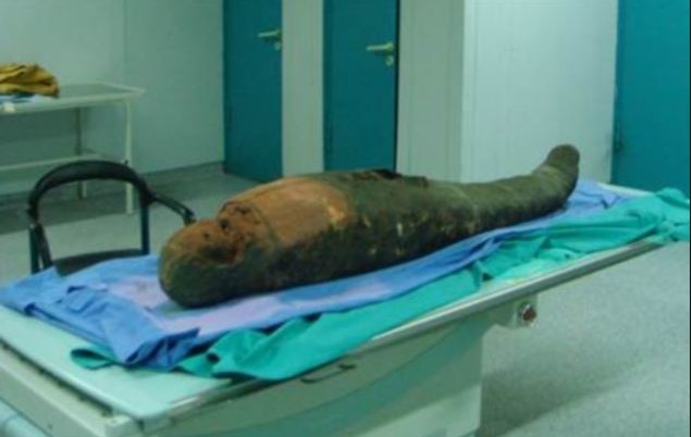 2400年前木乃伊身上驚人發(fā)現(xiàn):頭顱中殘留“取腦棒”