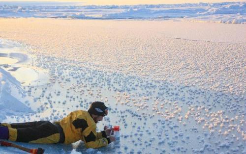 北極洋驚現(xiàn)大片“霜花”