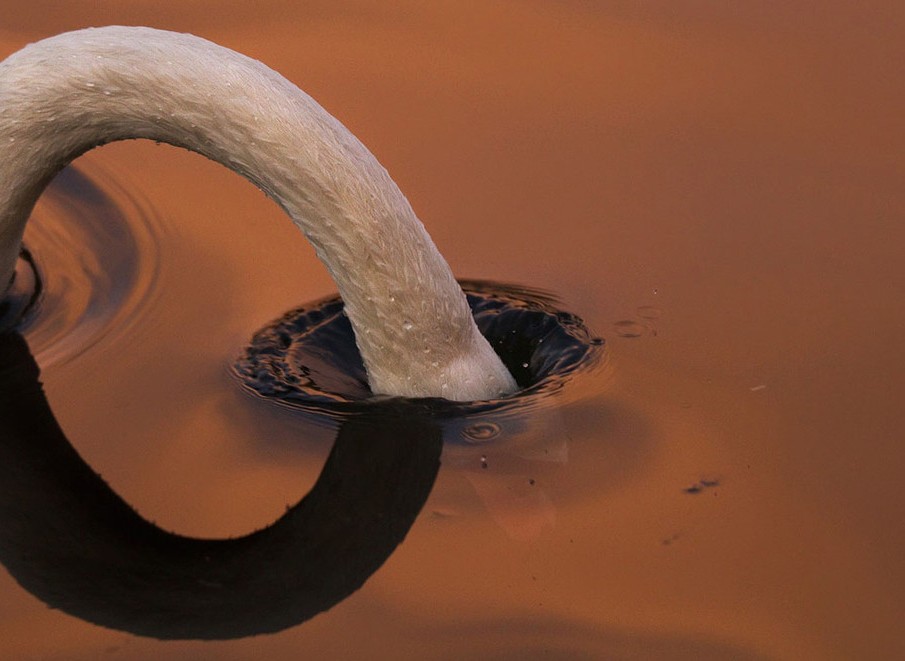 2012國(guó)家地理攝影大賽入圍佳作