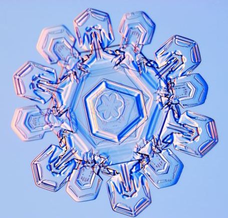 怎一個美字了得！美國科學(xué)家?guī)闶フQ看雪花(圖)