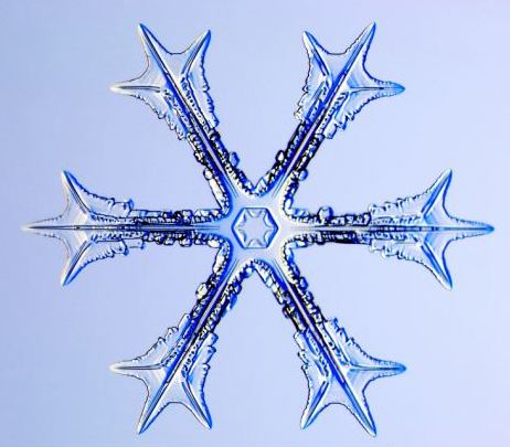 怎一個(gè)美字了得！美國(guó)科學(xué)家?guī)闶フQ看雪花(圖)