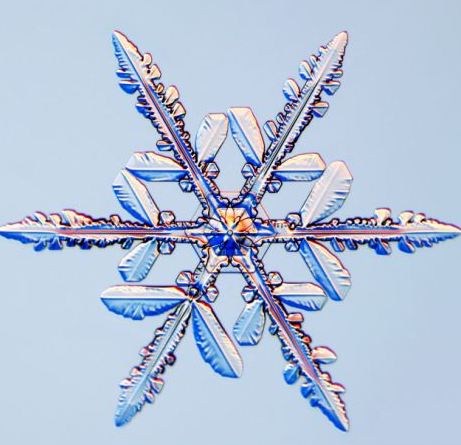 怎一個(gè)美字了得！美國(guó)科學(xué)家?guī)闶フQ看雪花(圖)