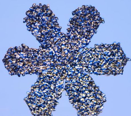 怎一個美字了得！美國科學家?guī)闶フQ看雪花(圖)