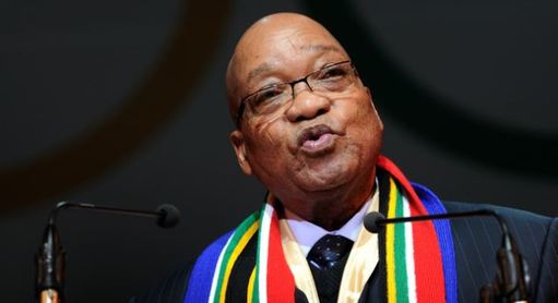 養(yǎng)寵物狗是白人文化?南非總統(tǒng)又發(fā)爭(zhēng)議言論