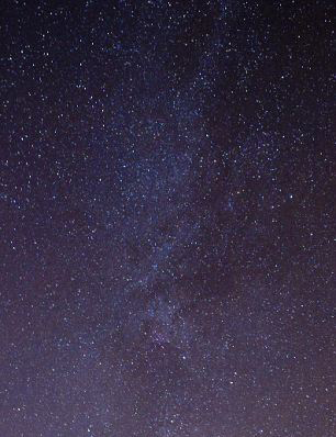 科學(xué)家首次發(fā)現(xiàn)“屎殼郎”能依靠星光進(jìn)行導(dǎo)航