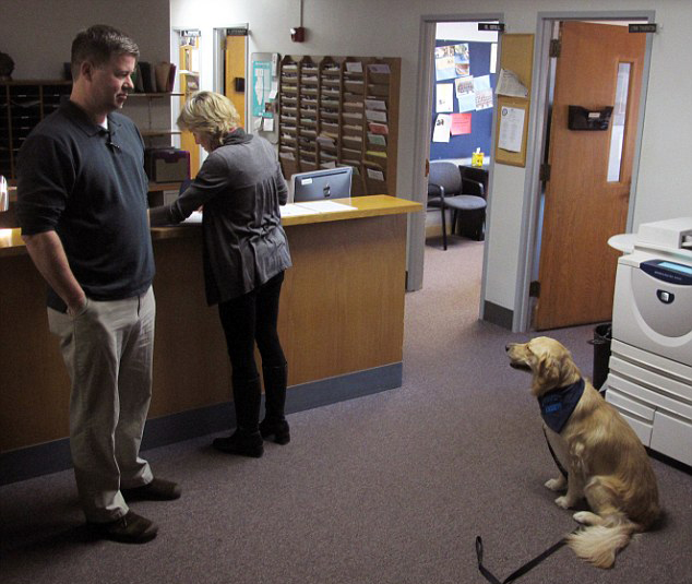 可愛安慰犬“受雇”入美高中課堂 助學(xué)生緩解壓力