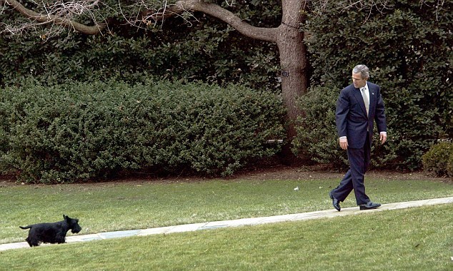 小布什愛犬、前美國“第一狗”巴尼去世 曾遭普京揶揄