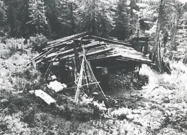 躲進(jìn)深山老林與世隔絕43年 俄羅斯一家人不知二戰(zhàn)