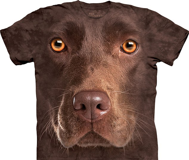 3D創(chuàng)意來(lái)襲：神奇涂鴉筆空中揮舞作畫(huà) 立體動(dòng)物T恤栩栩如生