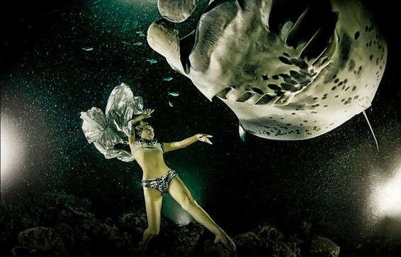 最后的舞蹈：美女拍水下唯美照呼吁保護(hù)魔鬼魚(yú)